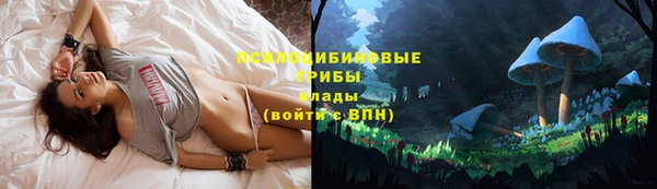 каннабис Вяземский